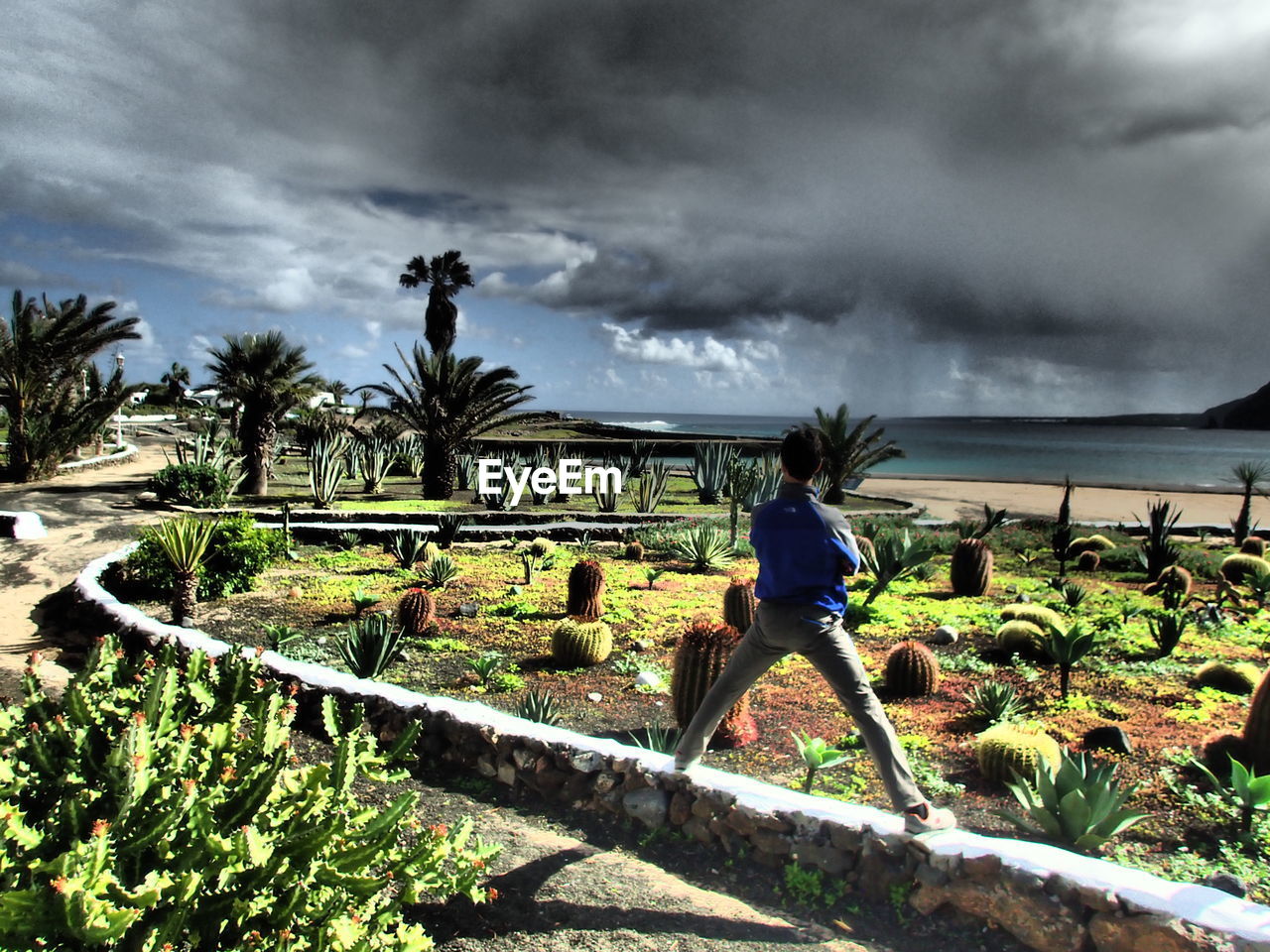 MAN STANDING BY TREE AGAINST SKY