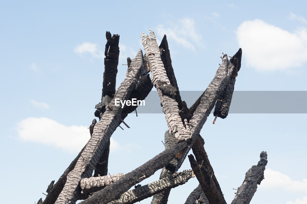 Low angle view of burnt wood against sky