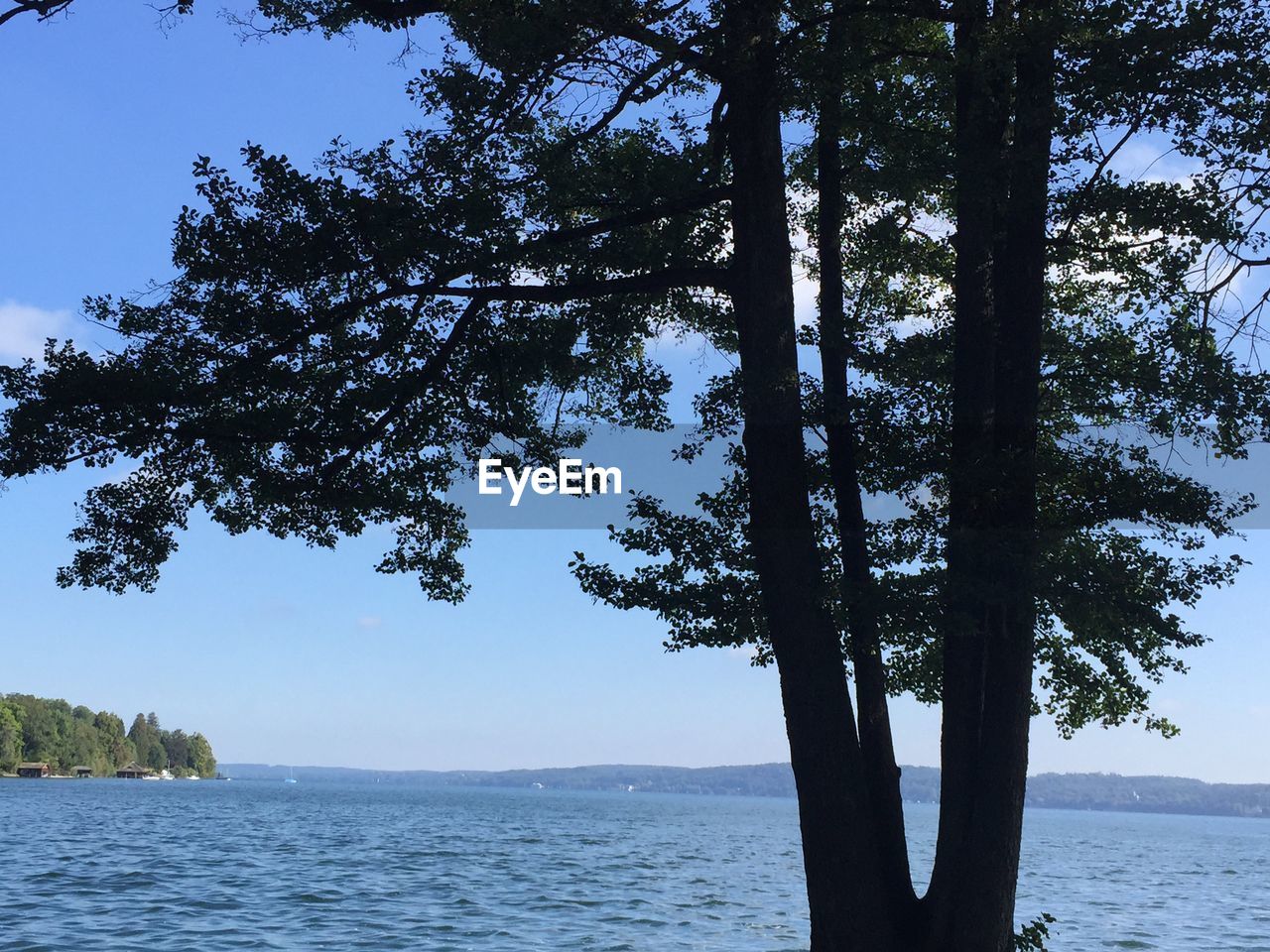 VIEW OF TREES BY SEA