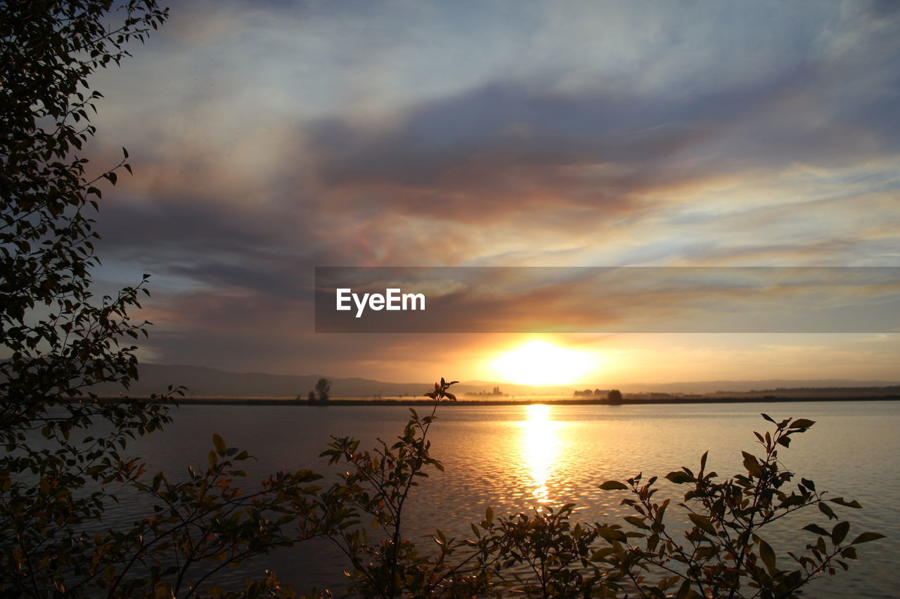 sunset, nature, sky, beauty in nature, scenics, water, orange color, tranquility, tranquil scene, reflection, sun, cloud - sky, plant, outdoors, sea, no people, silhouette, tree, growth, beach, horizon over water, day