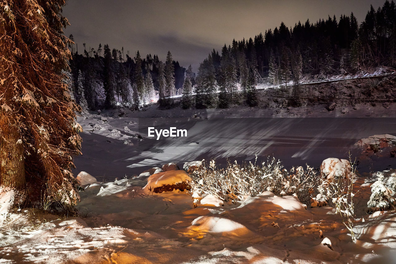 Scenic view of forest against sky during winter