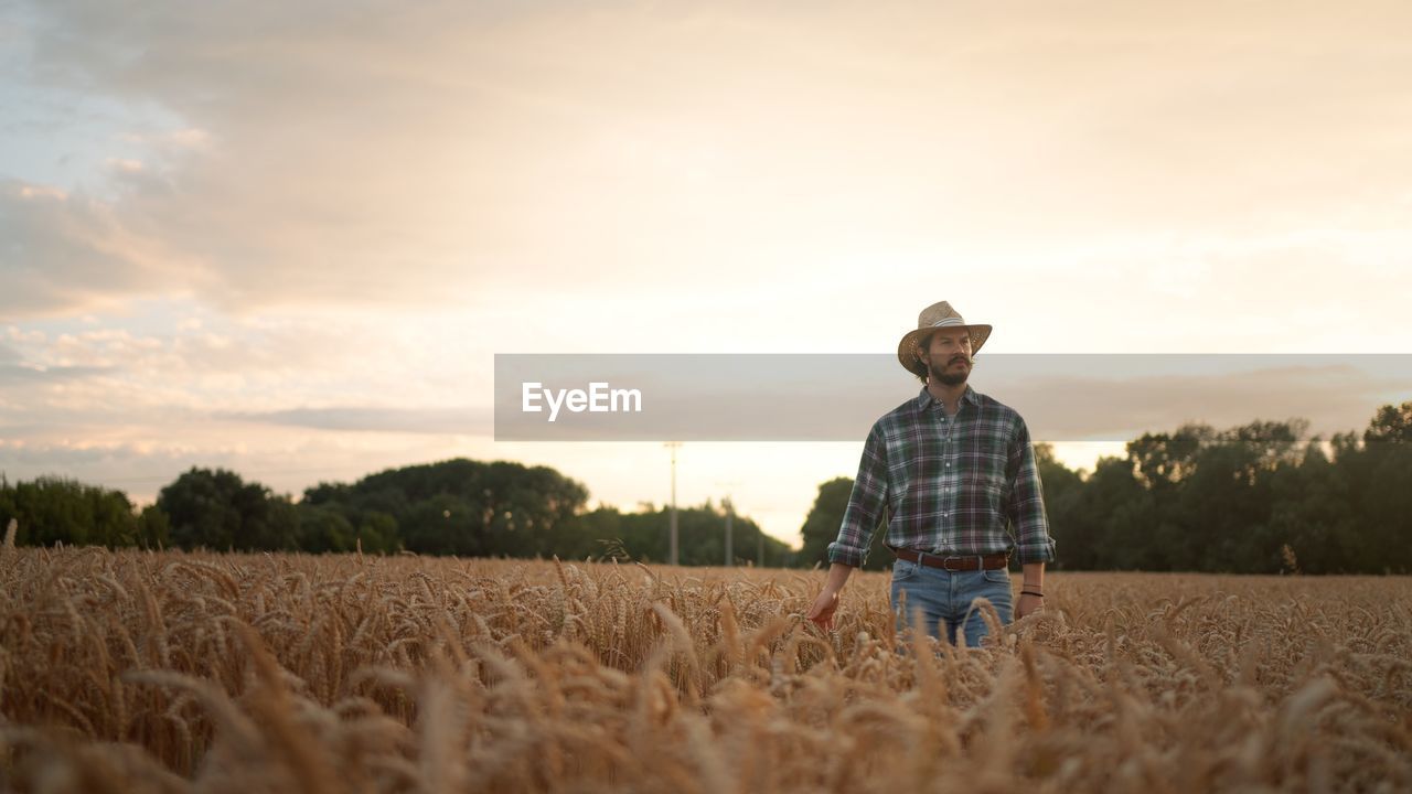 Farmer touching wheat crop ears to control a quality in grain field