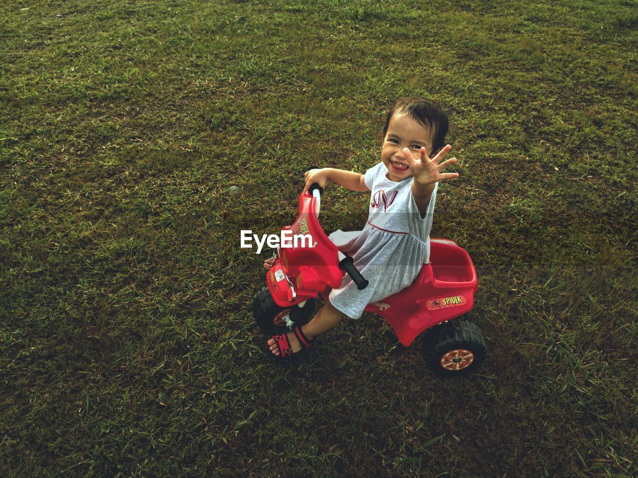 High angle portrait of girl sitting on tricycle at field