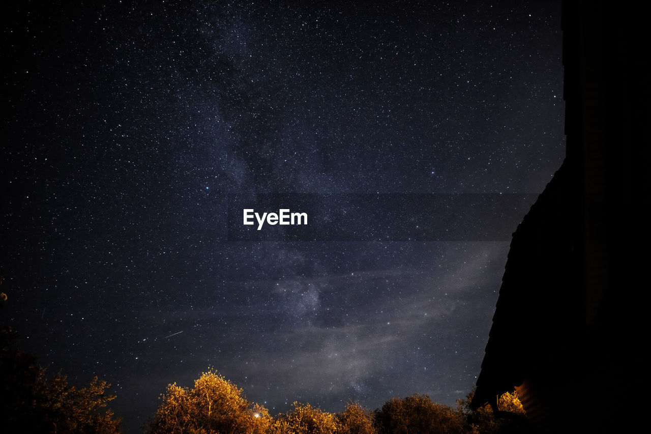 Low angle view of trees against sky at night