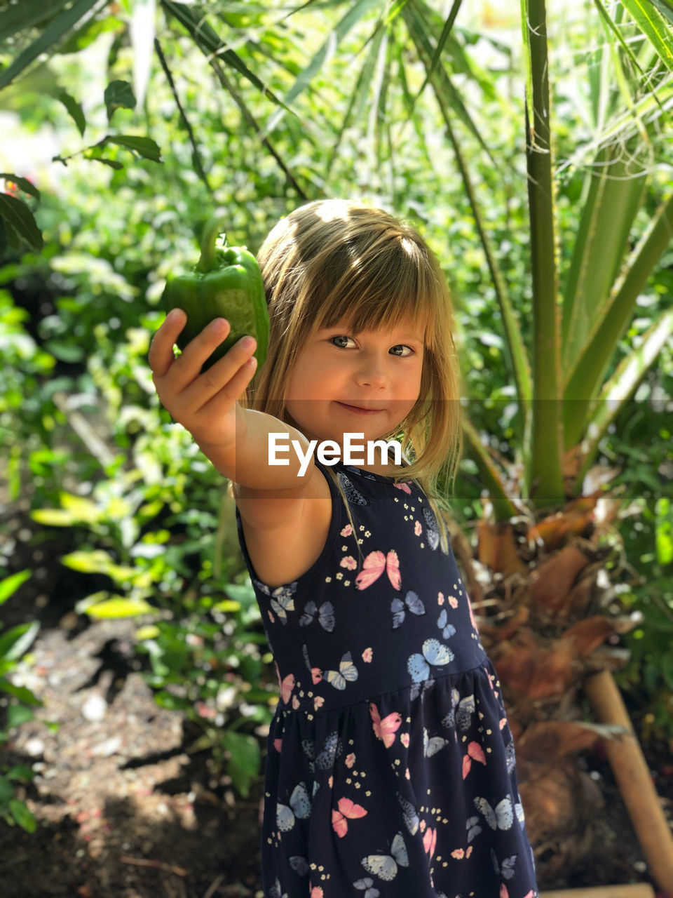 Portrait of girl holding green bell pepper against plants