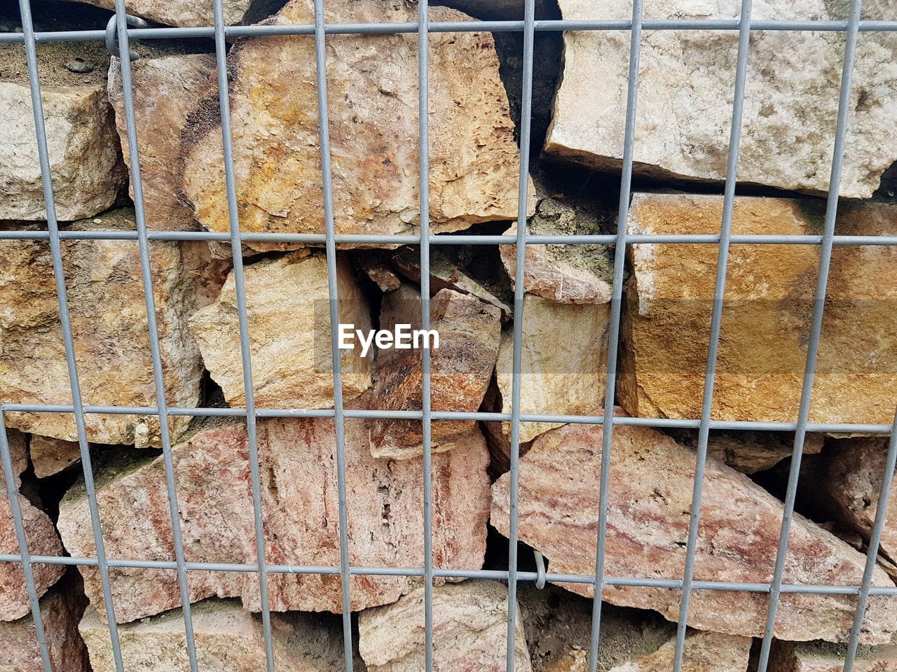 FULL FRAME SHOT OF LIZARD ON BRICK WALL