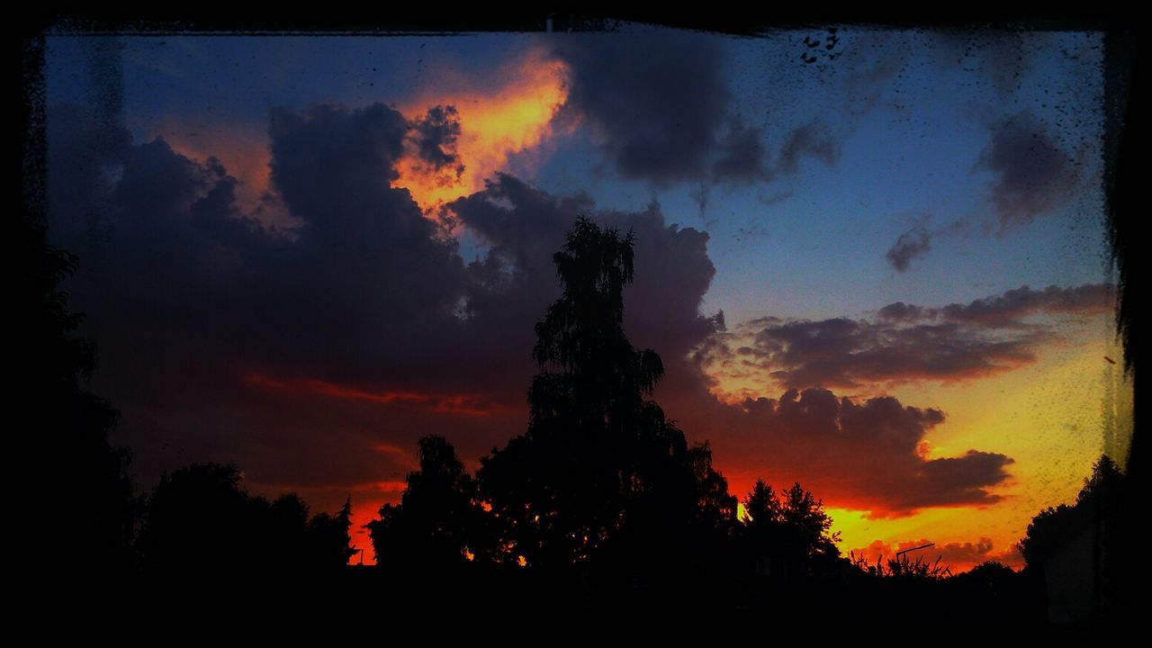 SILHOUETTE OF TREES AT SUNSET