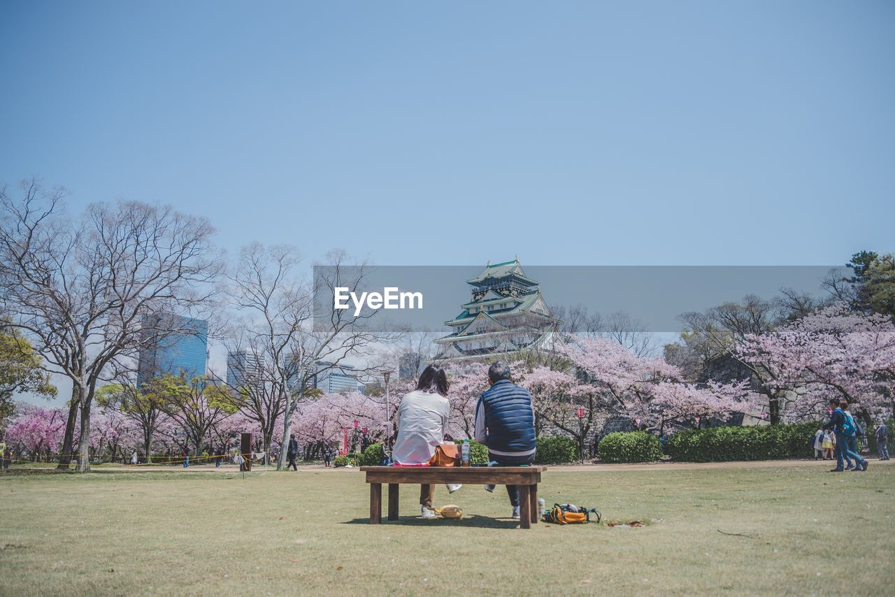 Rear view of couple sitting in park against clear sky