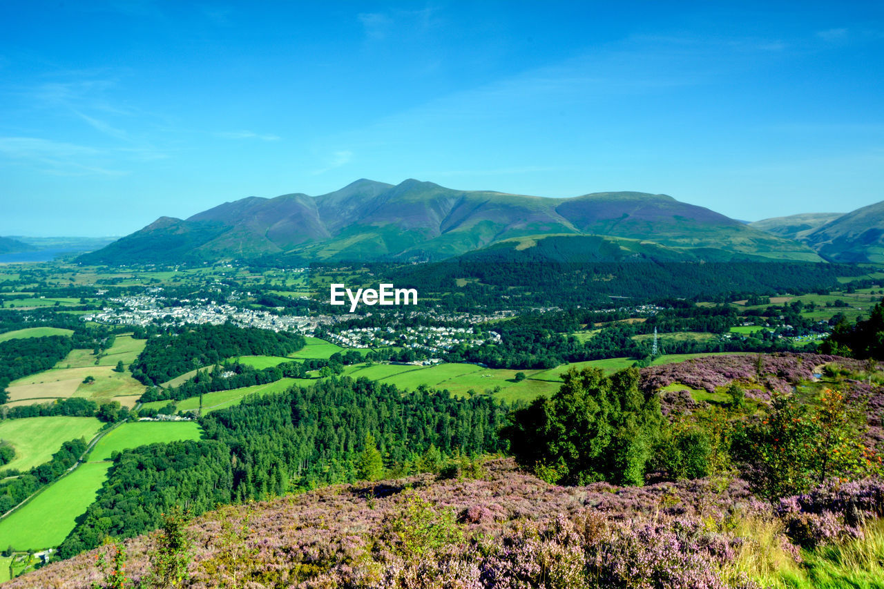 Scenic view of field and mountains against sky