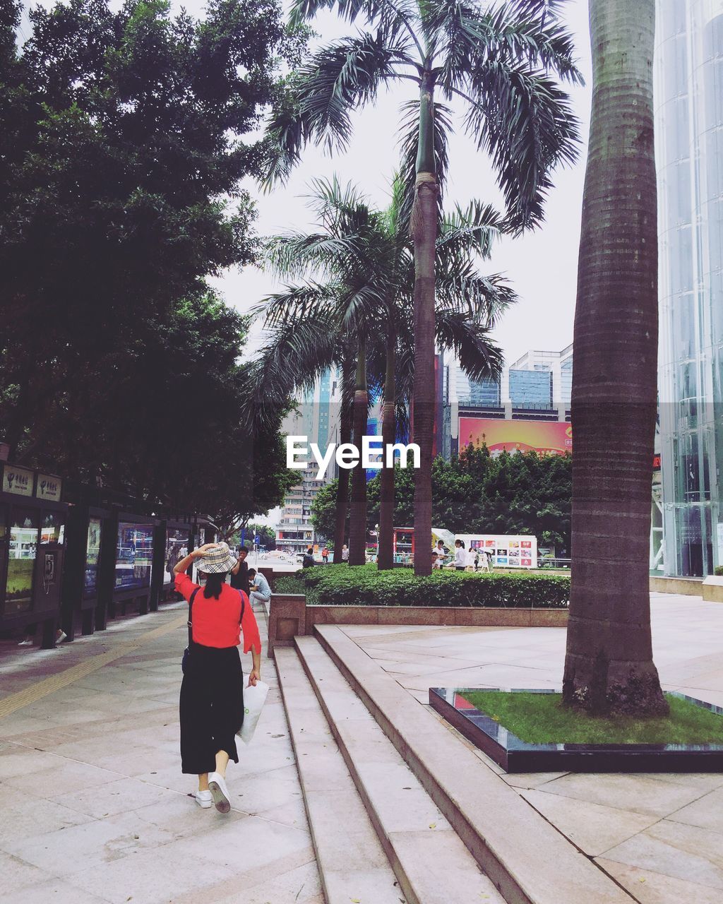 REAR VIEW OF WOMAN WALKING BY PALM TREES AND BUILDING