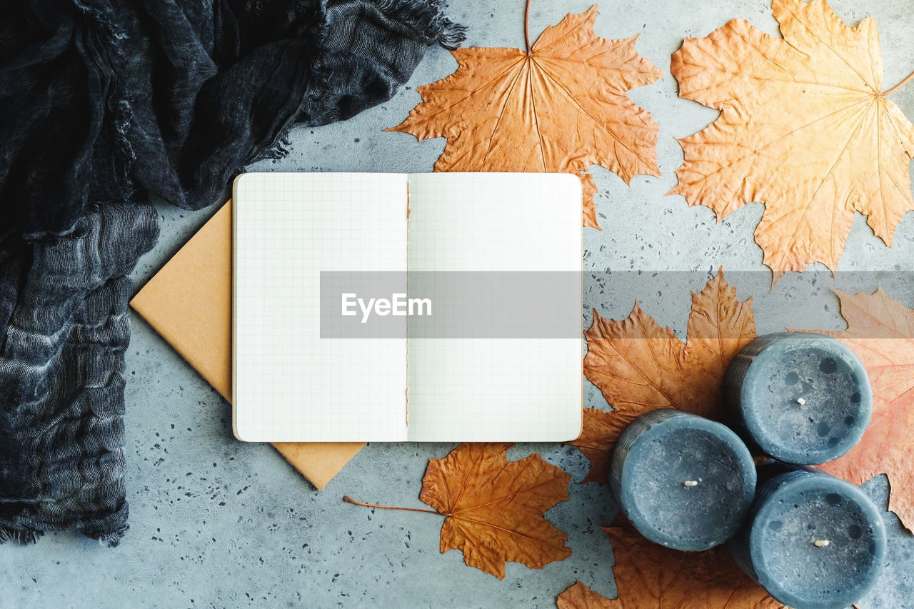 Directly above shot of open blank book with autumn maple leaves on table