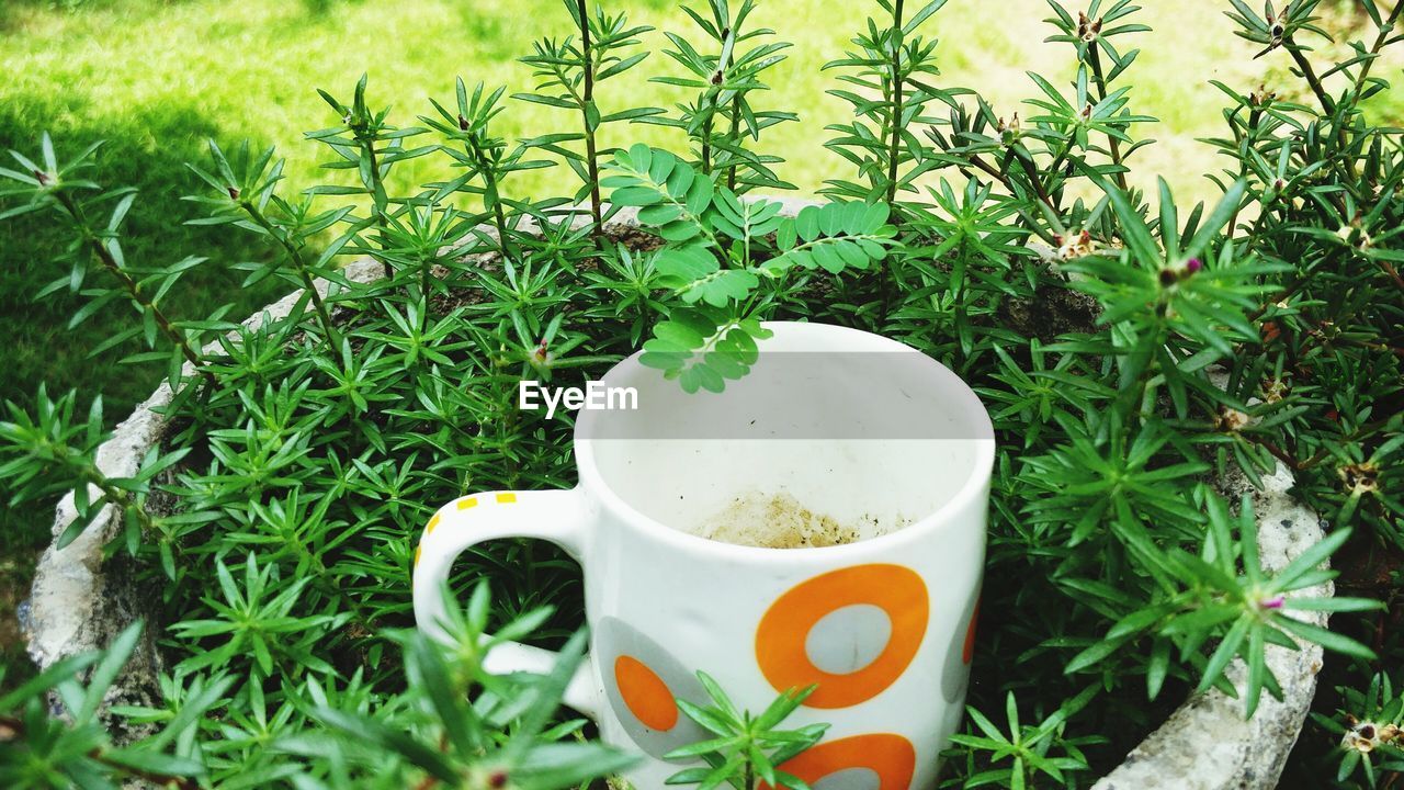 Close-up of coffee cup on grassy field