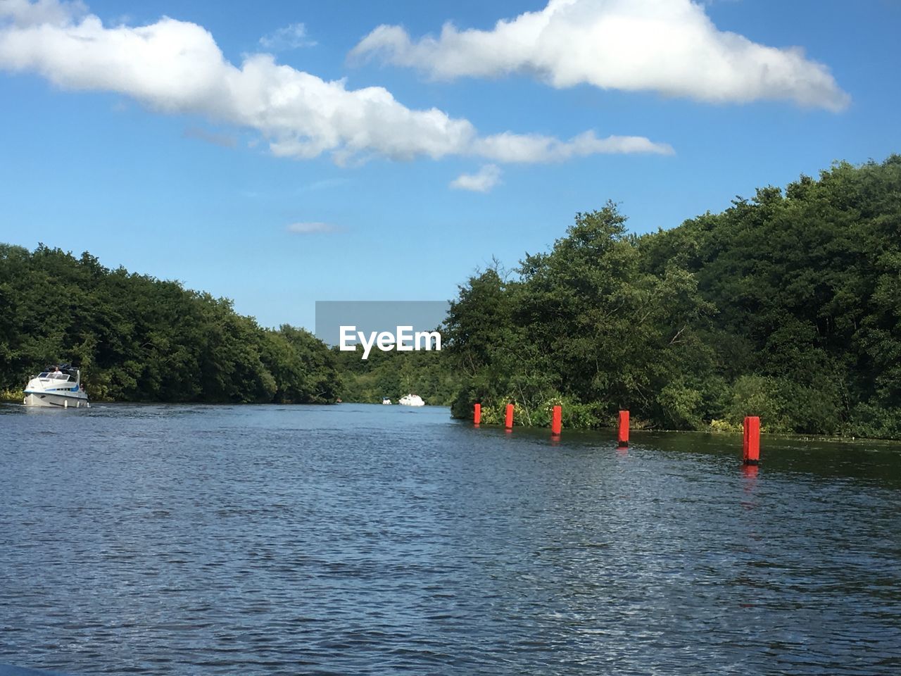 SCENIC VIEW OF RIVER AGAINST TREES