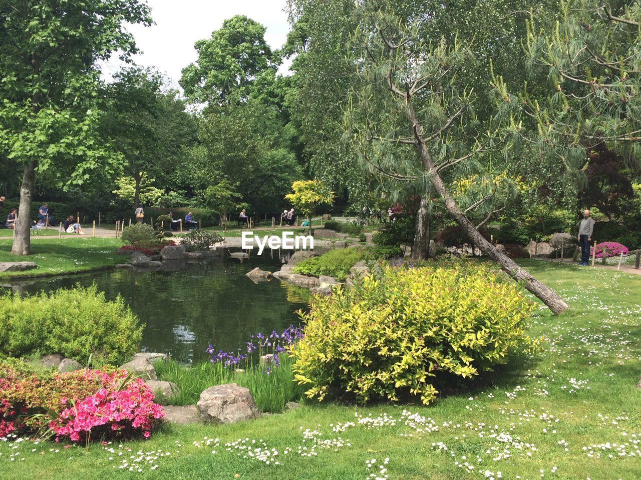 VIEW OF PLANTS IN PARK