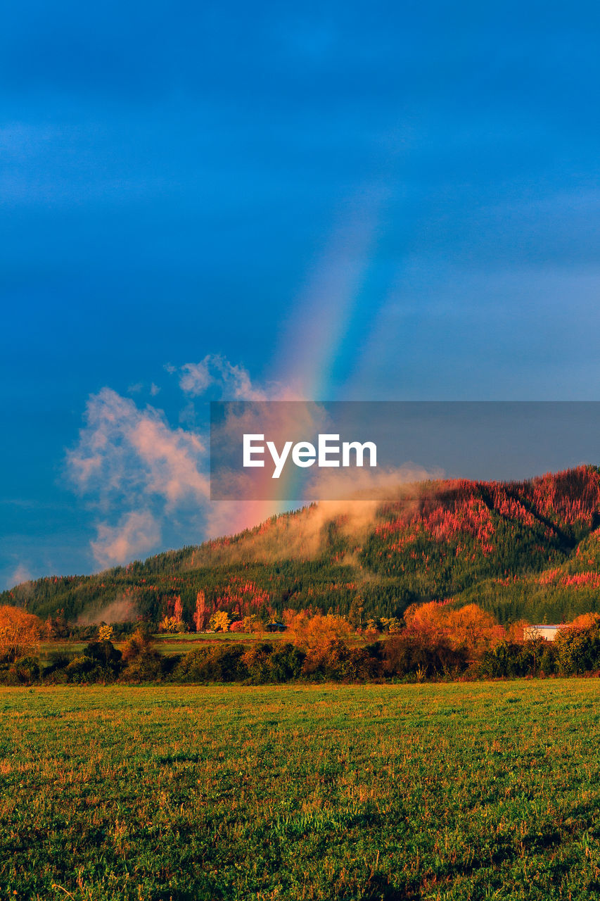 Scenic view of field against sky during autumn