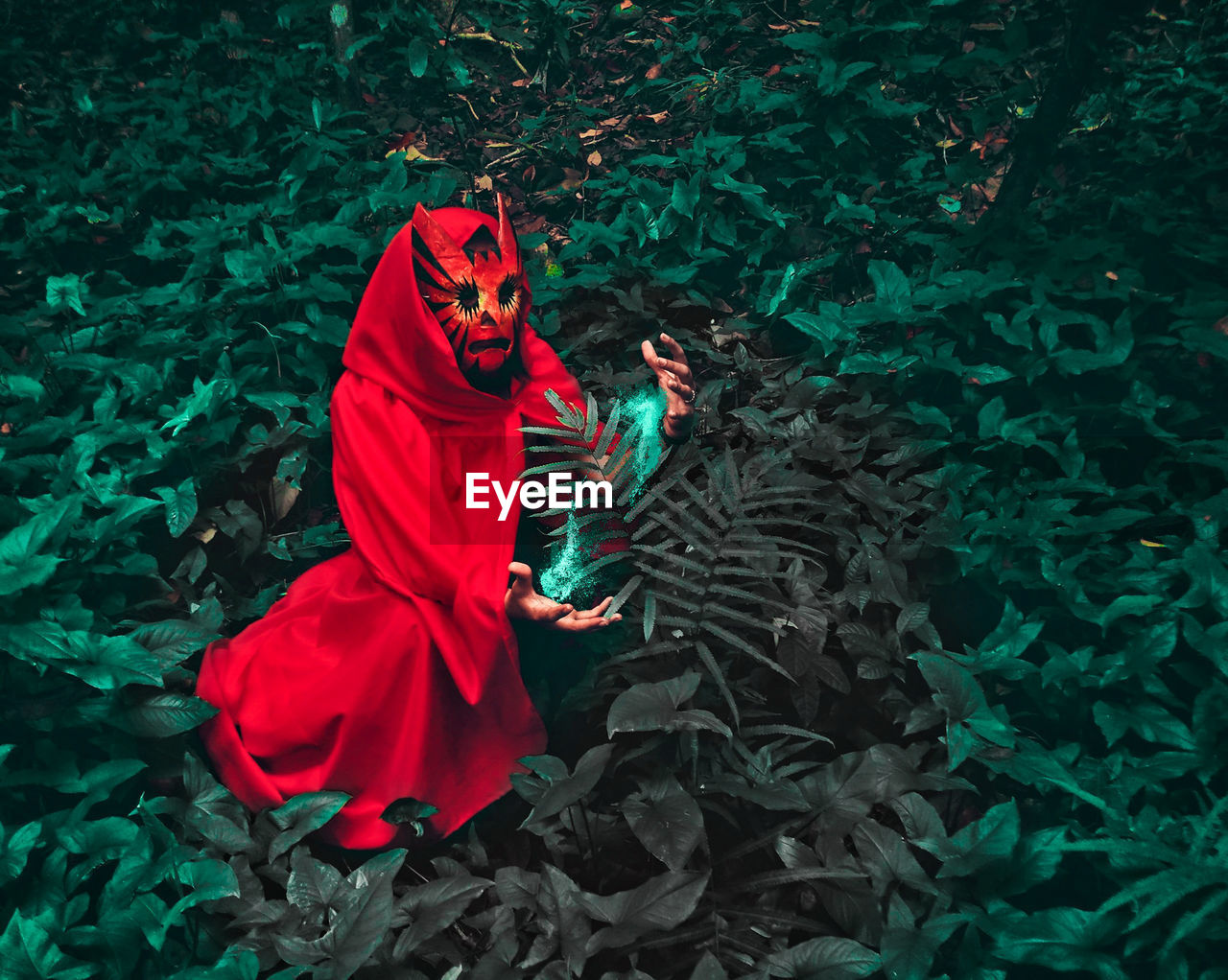 Rear view of person wearing red cape and mask by plants in forest