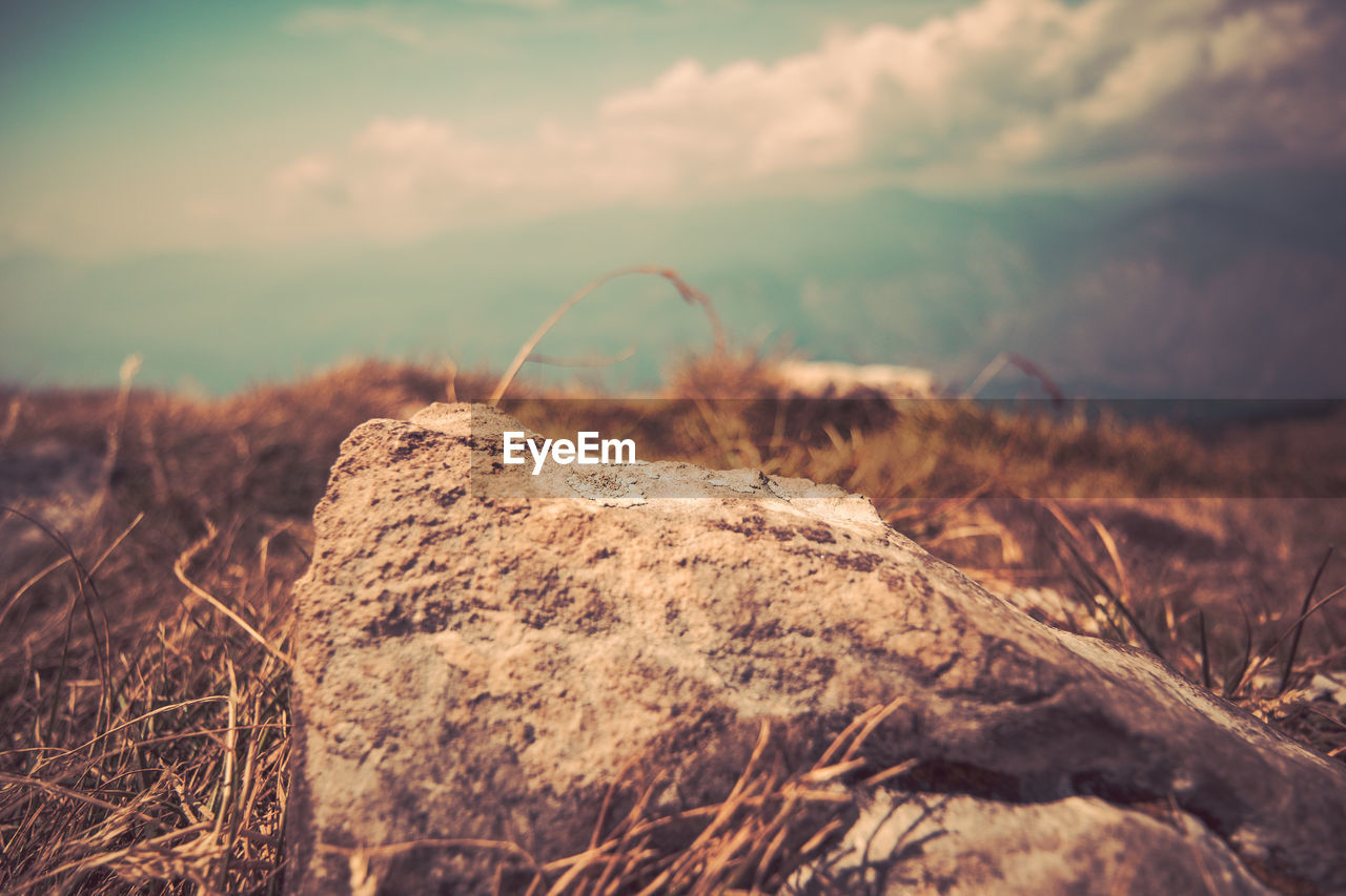 Close-up of rock on field against sky