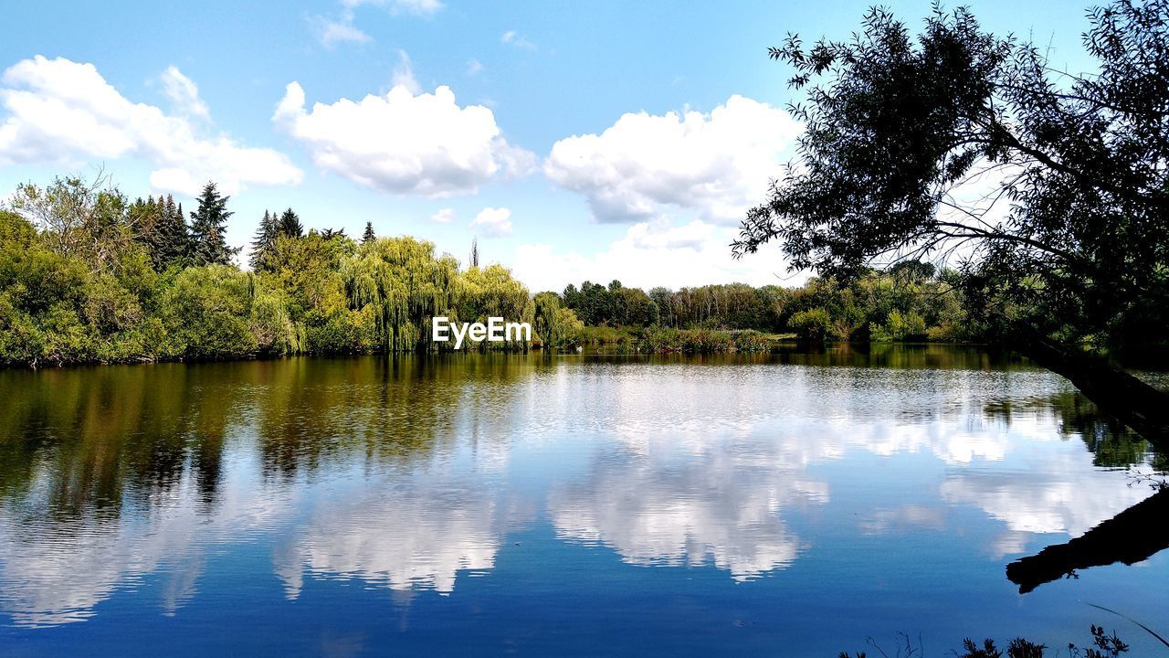 REFLECTION OF TREES IN LAKE AGAINST SKY