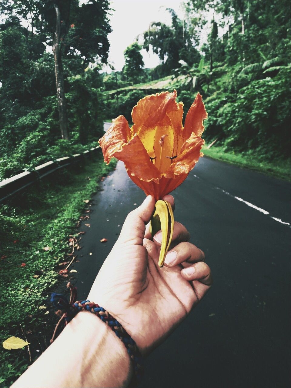 Cropped hand of person holding orange lily on road