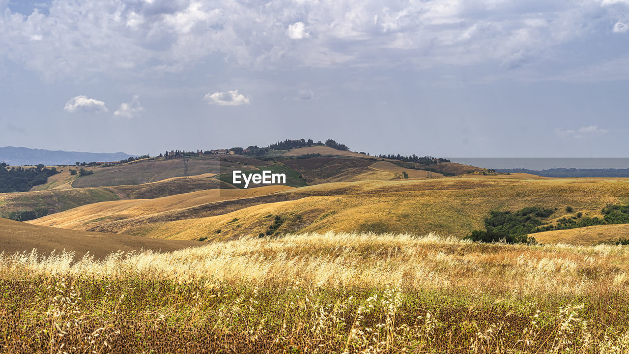 SCENIC VIEW OF LAND AND SKY