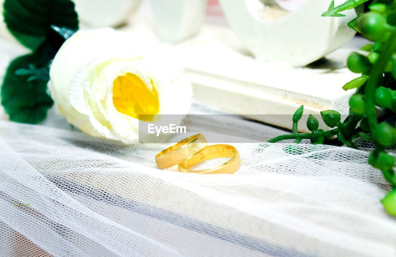 Wedding rings of two brides as a sign of holy marriage
