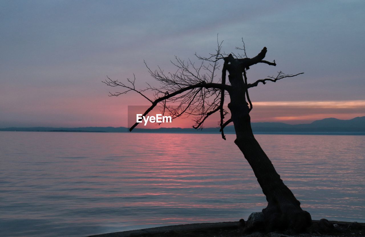 Silhouette bare tree by sea against sky during sunset