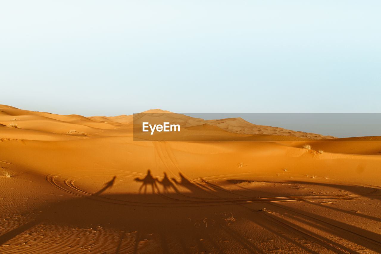 Shadow of camels and people on sahara desert