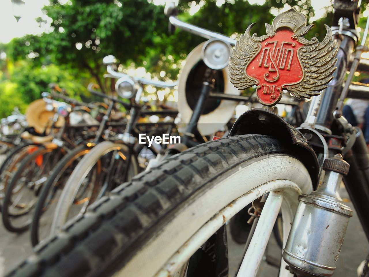 CLOSE-UP OF BICYCLE PARKED BY TREE