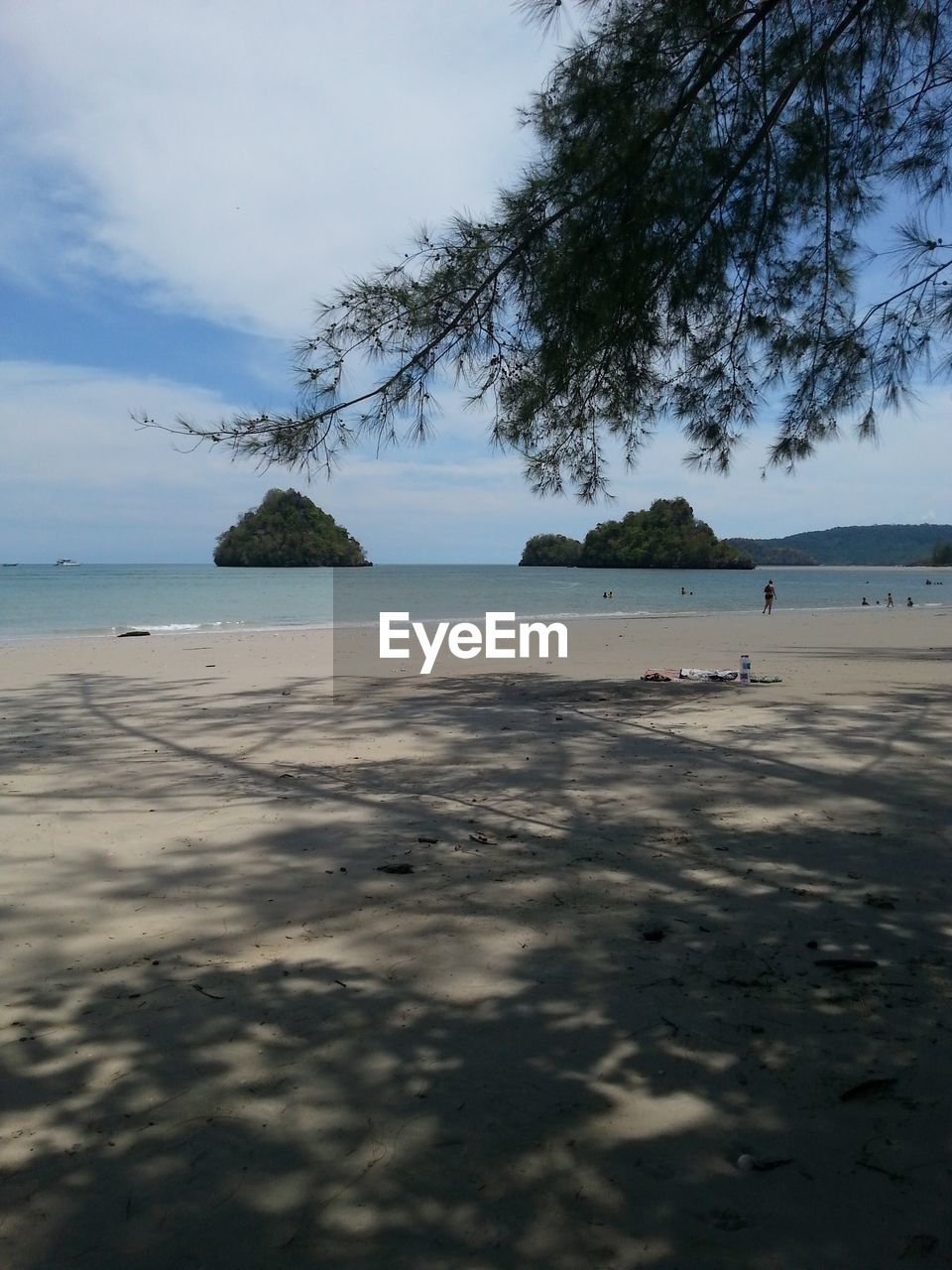 SCENIC VIEW OF BEACH