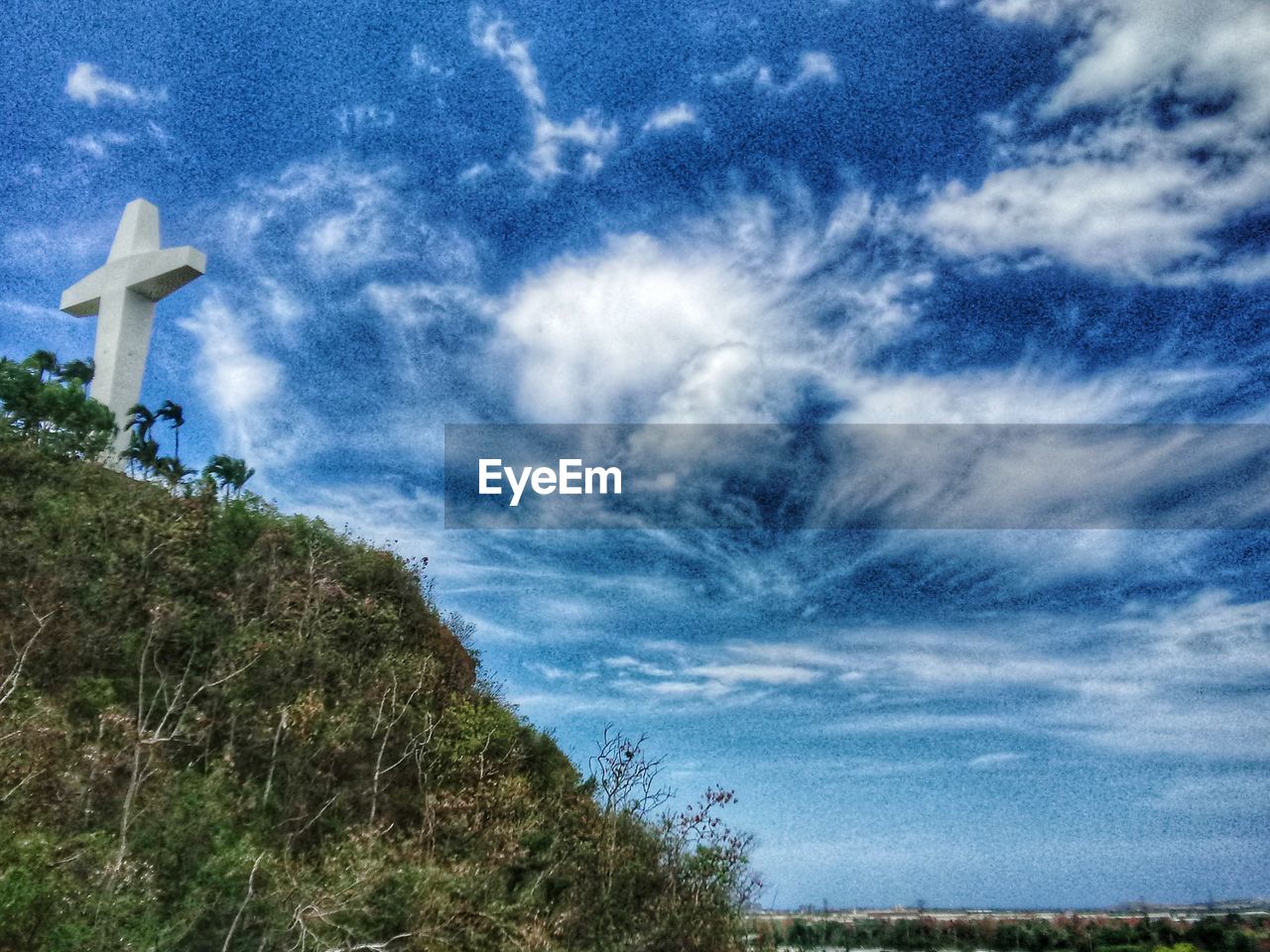 LOW ANGLE VIEW OF TREES ON LANDSCAPE AGAINST SKY