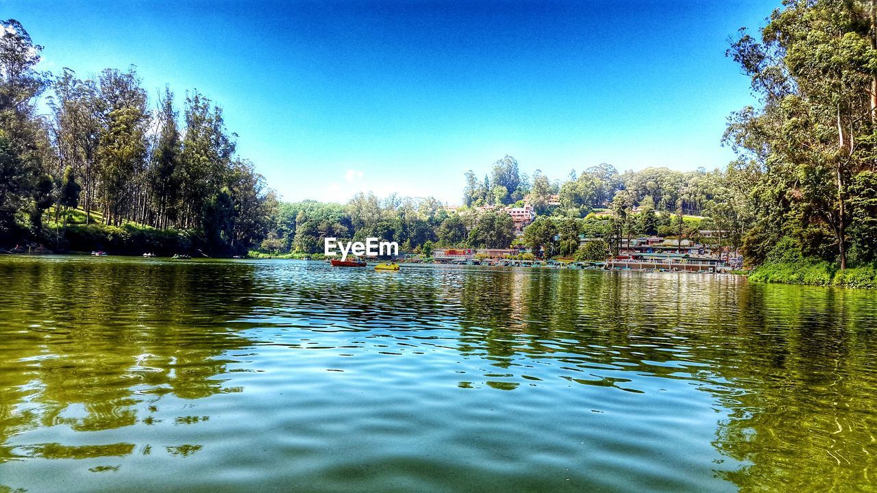 Reflection of trees in calm lake