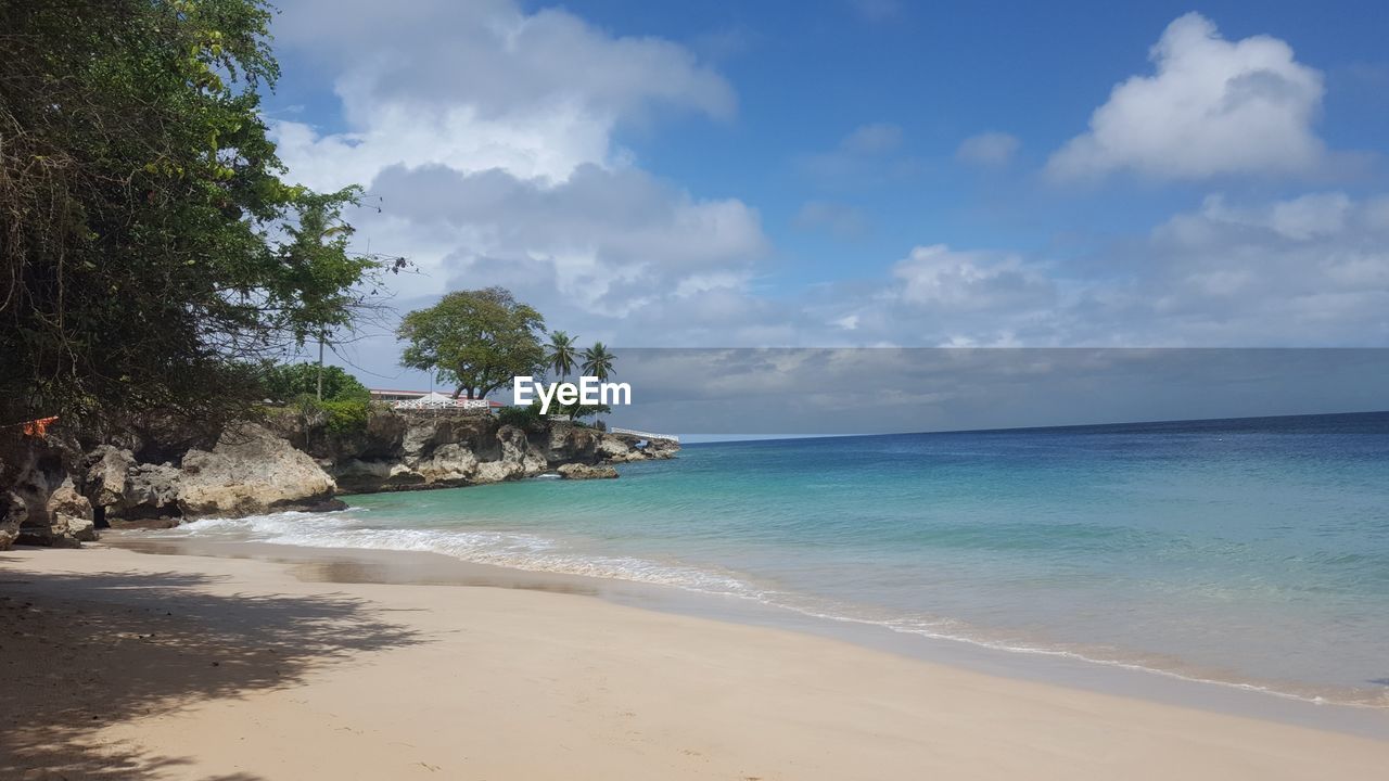 SCENIC VIEW OF BEACH