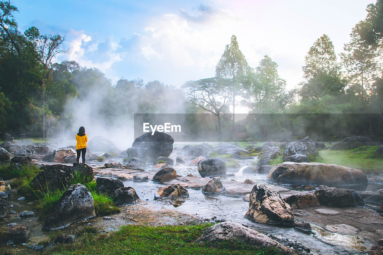 PANORAMIC VIEW OF WATERFALL IN FOREST