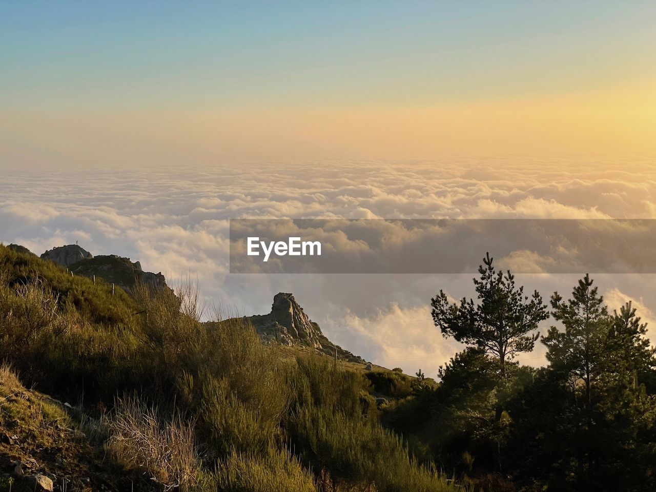 nature, sky, mountain, environment, scenics - nature, tree, plant, morning, landscape, beauty in nature, wilderness, land, cloud, travel, dawn, tranquility, no people, travel destinations, sunrise, forest, tourism, mountain range, outdoors, tranquil scene, horizon, fog, non-urban scene, pinaceae, sun, sunlight, pine tree, ridge, natural environment, coniferous tree, idyllic, mountain peak, trip