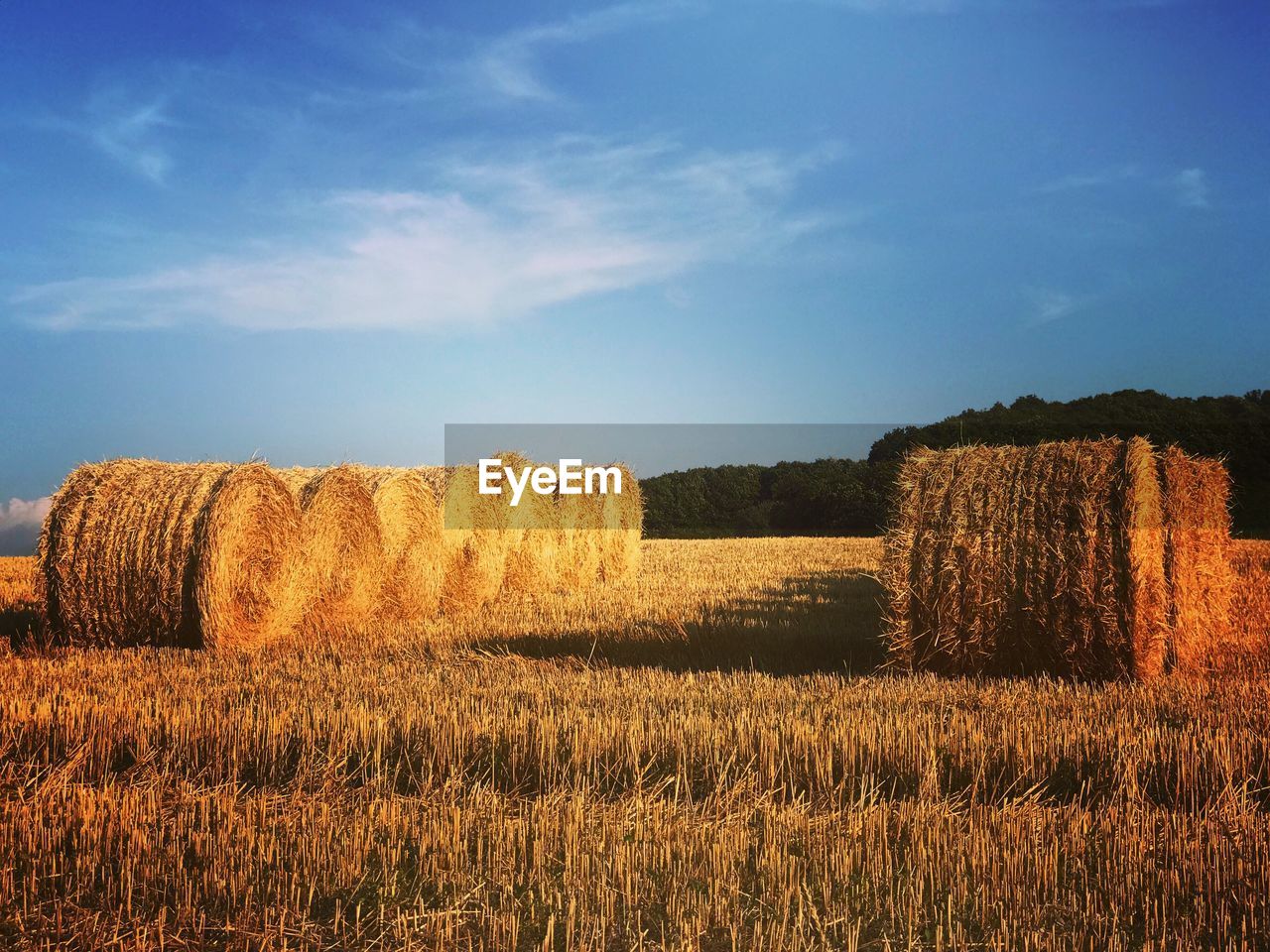 HAY BALES ON FIELD AGAINST SKY DURING SUNSET