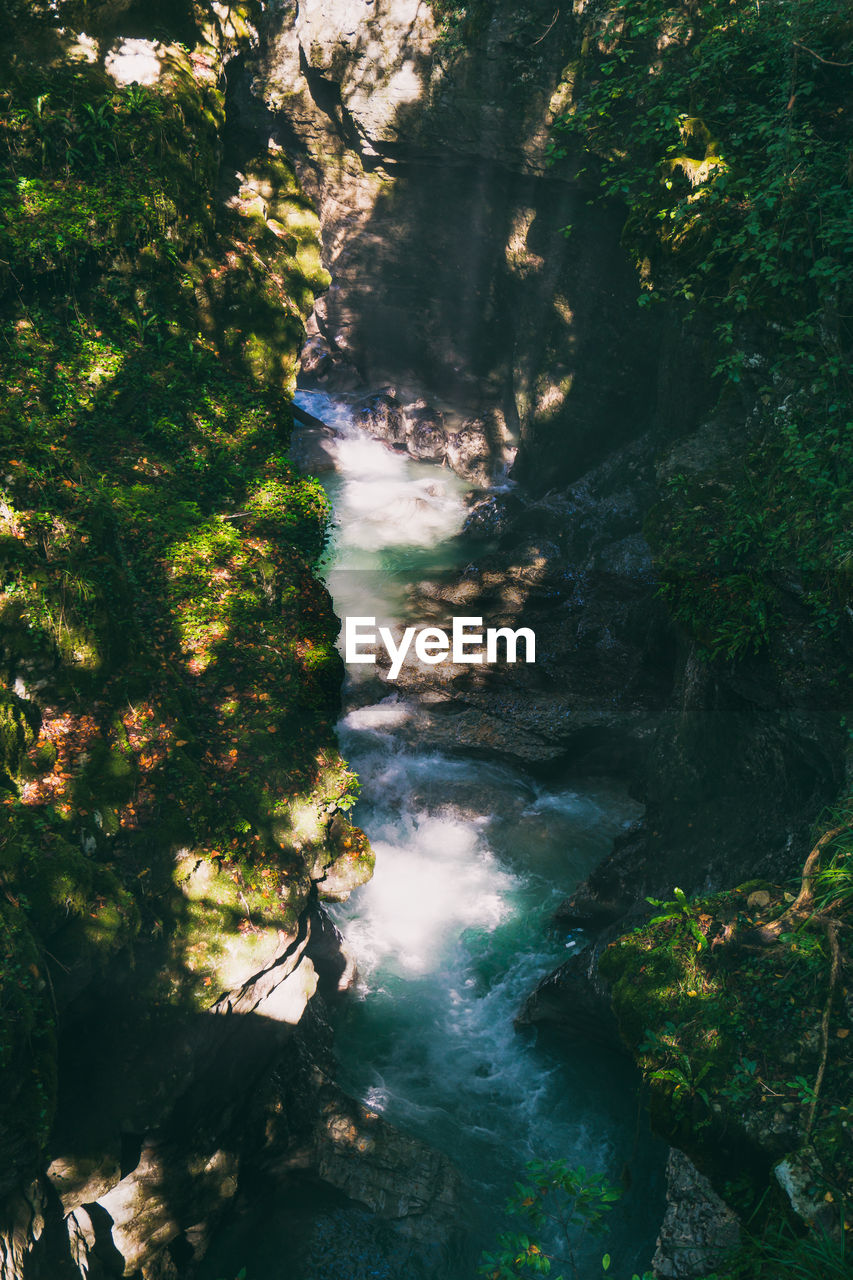 HIGH ANGLE VIEW OF WATER FLOWING IN FOREST