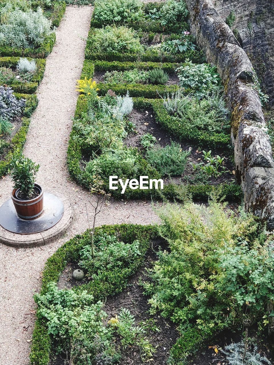 HIGH ANGLE VIEW OF POTTED PLANTS GROWING IN GARDEN