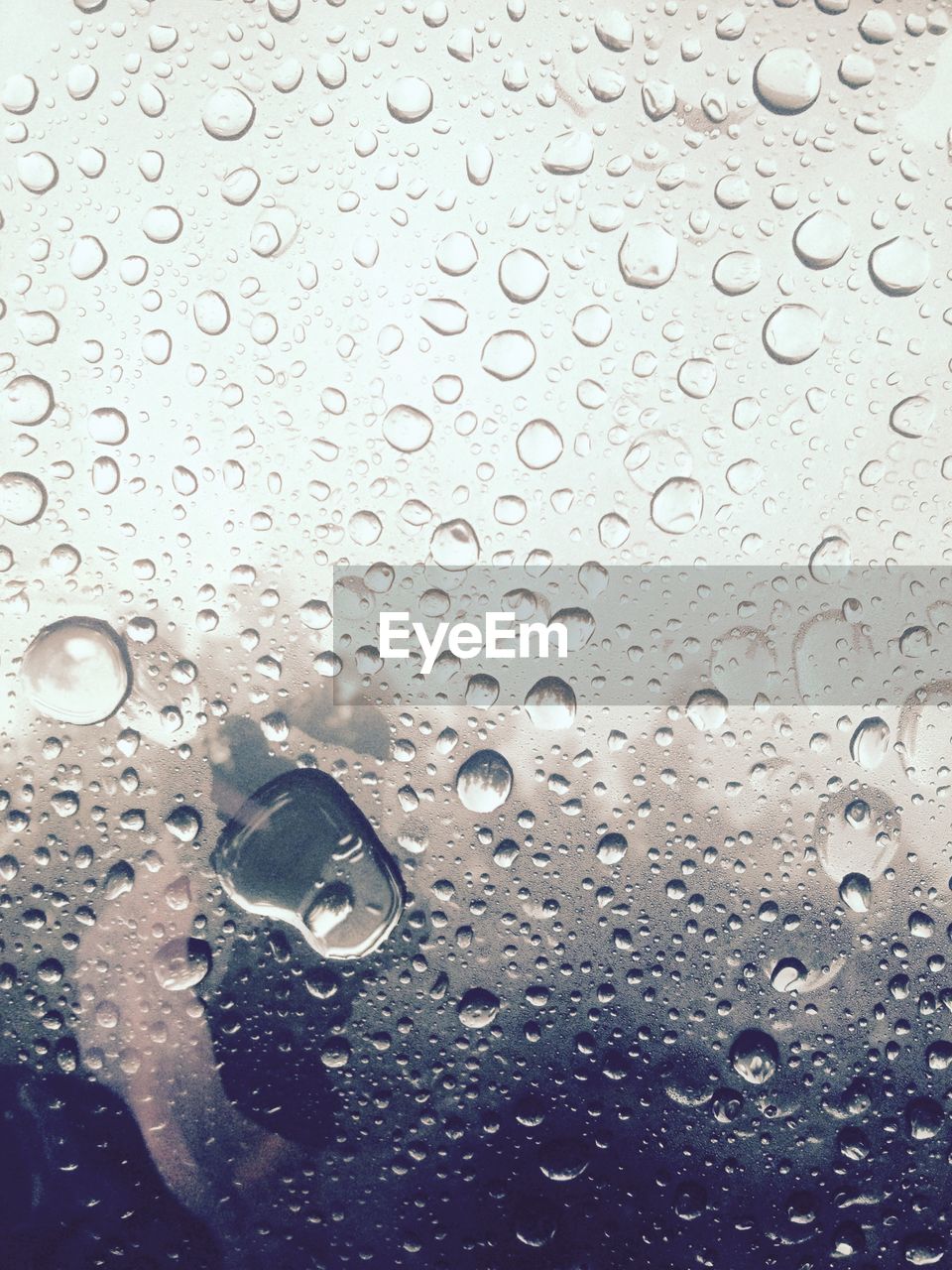 Morning rain on the window