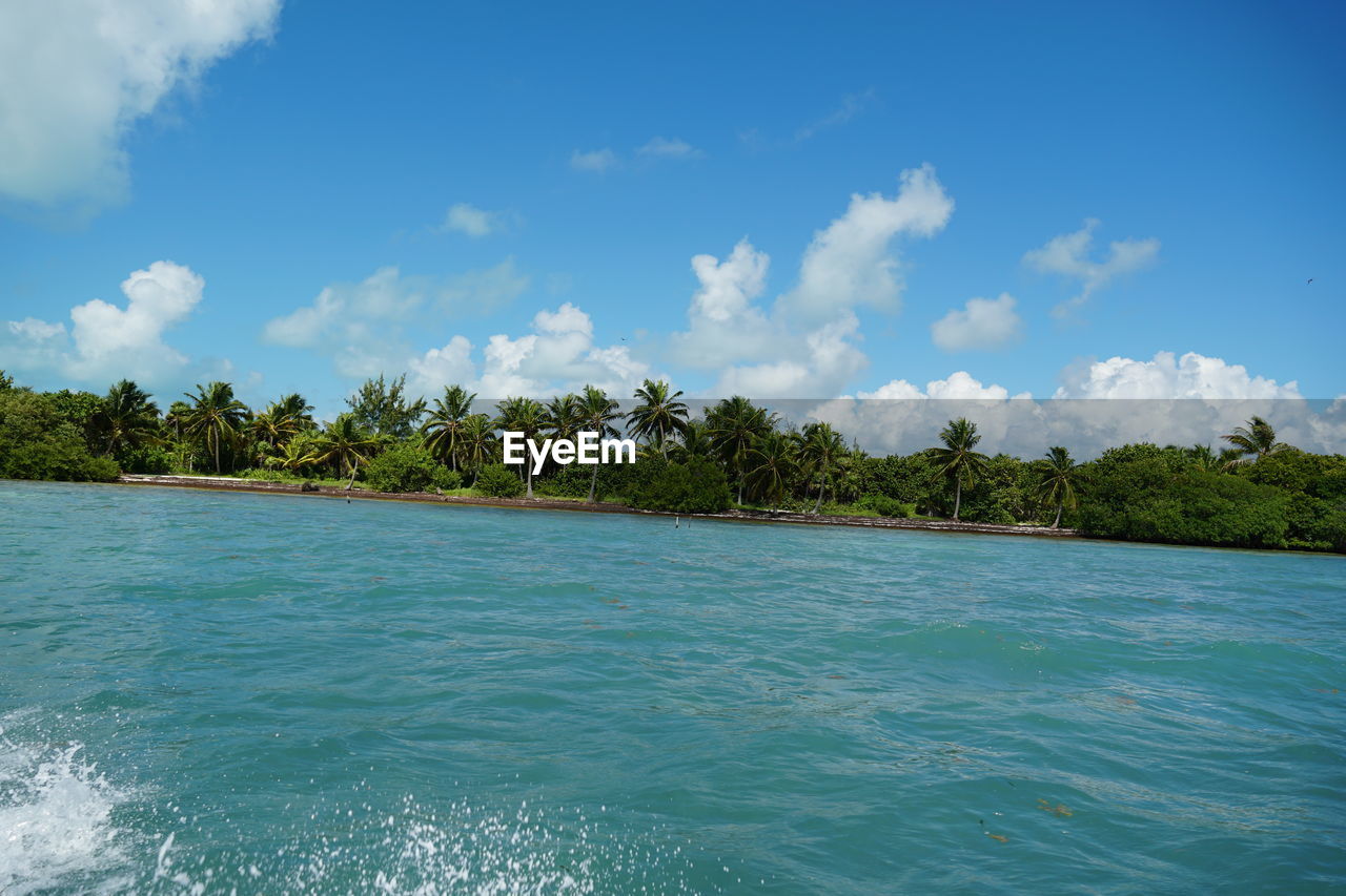 SCENIC VIEW OF BLUE SEA AGAINST SKY