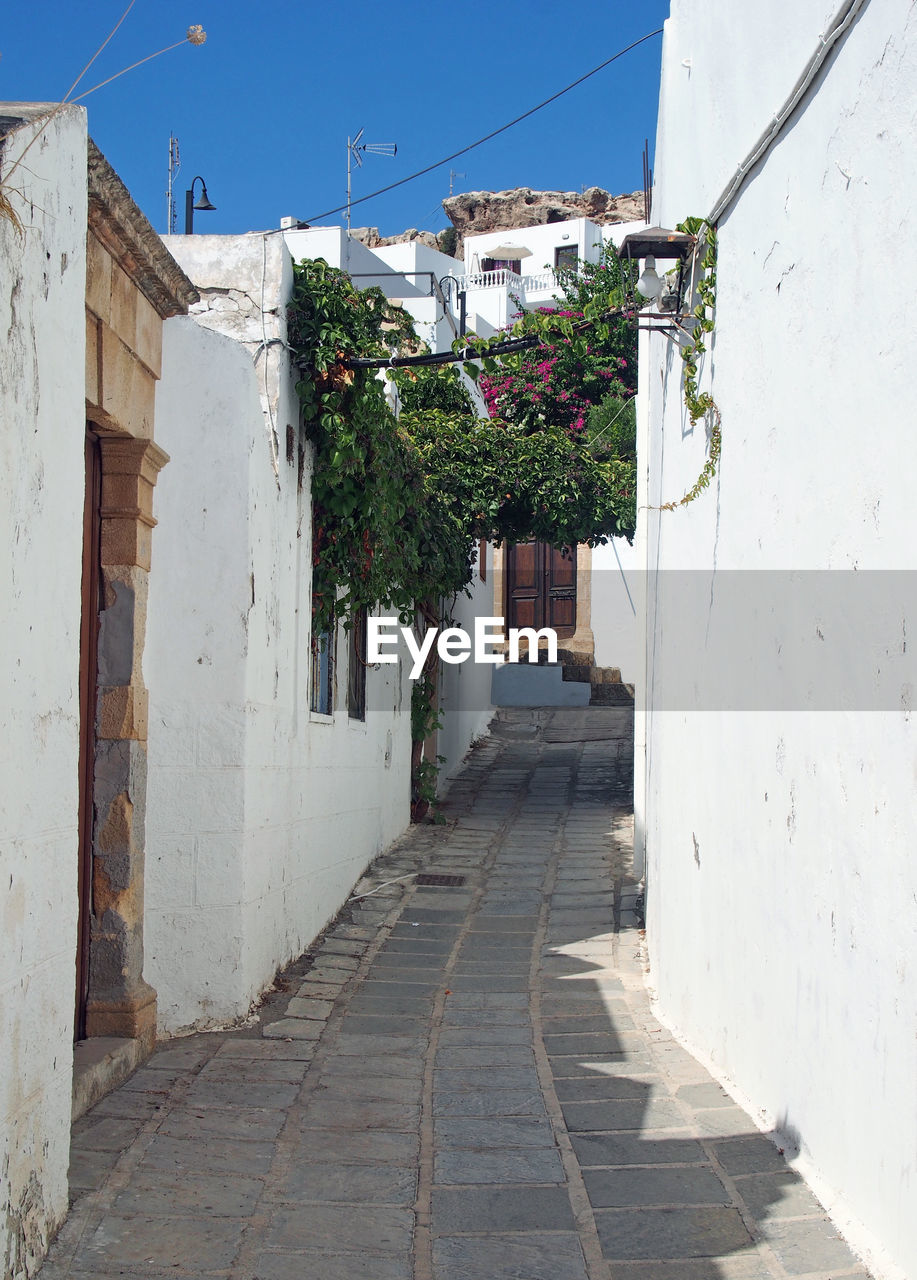  typical winding narrow alley in rhodes town with white houses and flowers against a blue summer sky