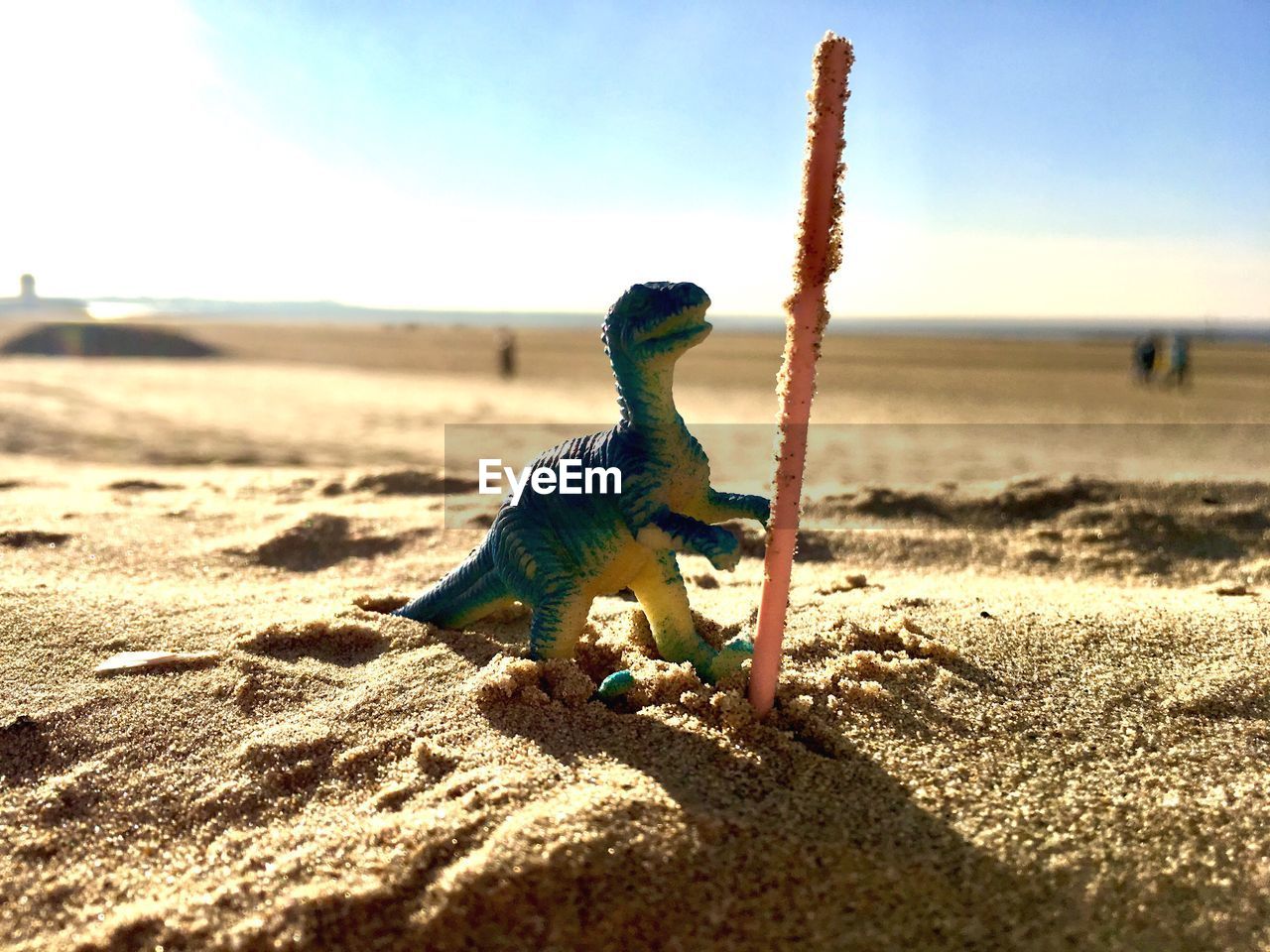 VIEW OF STUFFED TOY ON SAND AT FIELD