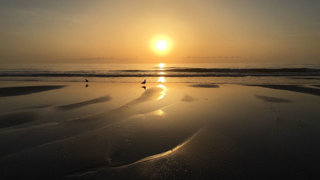 Scenic view of beach against sky during sunset