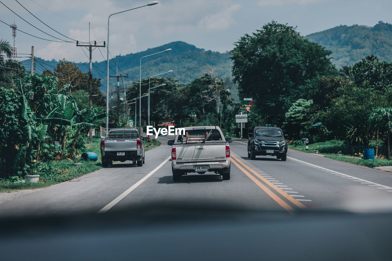 CARS ON ROAD AGAINST TREES