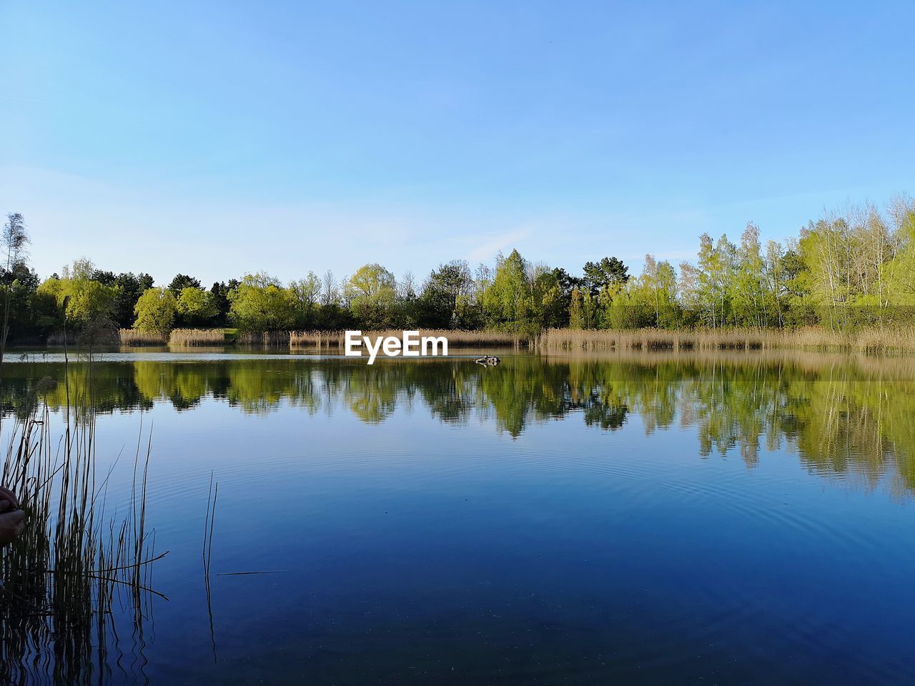 Scenic view of lake against clear blue sky