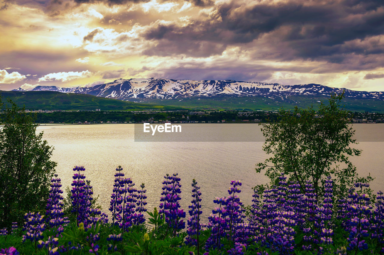 SCENIC VIEW OF LAKE AGAINST CLOUDY SKY AT DUSK