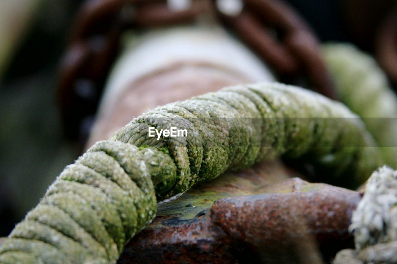 Close-up of green rope on metal