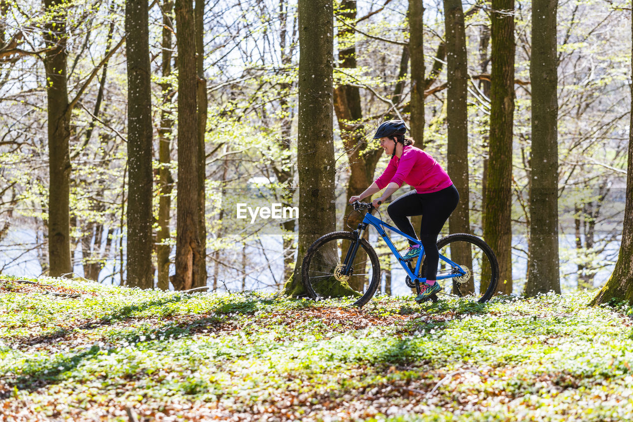 Cyclist in spring forest