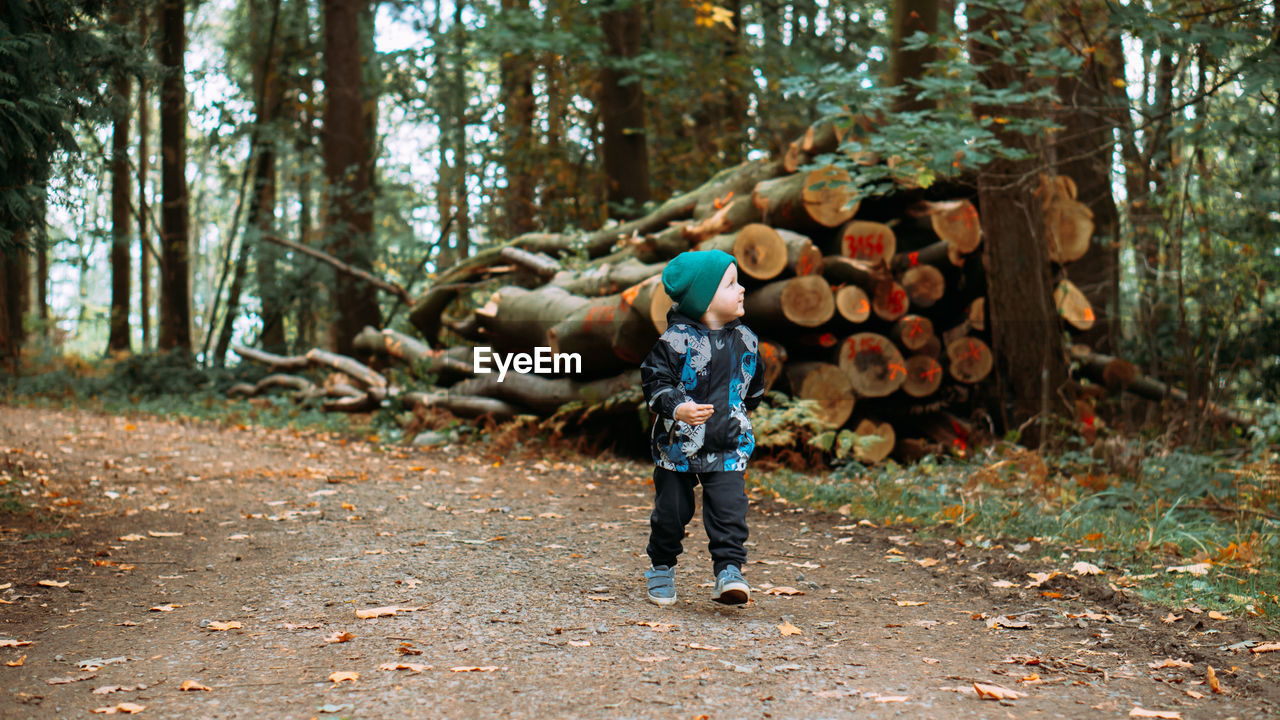 Little boy, dressed in warm clothes, walks in the autumn forest