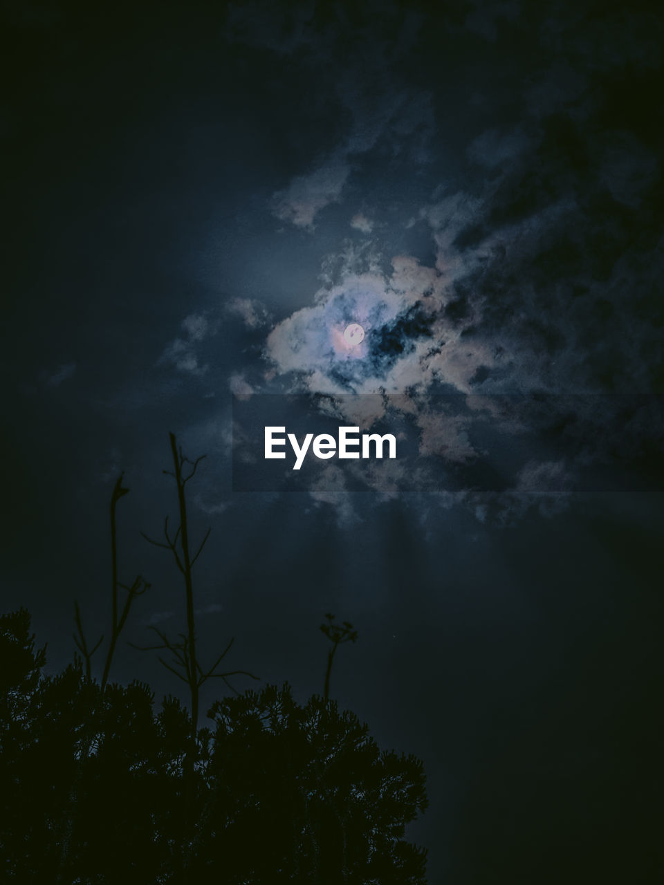 cloud, sky, darkness, moonlight, plant, tree, nature, night, light, beauty in nature, low angle view, no people, tranquility, moon, outdoors, scenics - nature, silhouette, growth, thunder, tranquil scene, dark