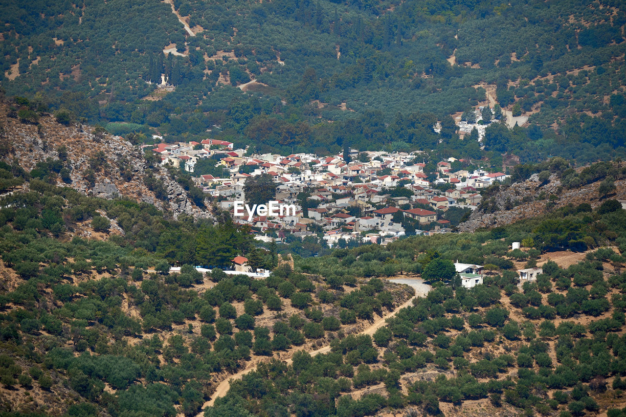 HIGH ANGLE VIEW OF TOWNSCAPE AND TREES